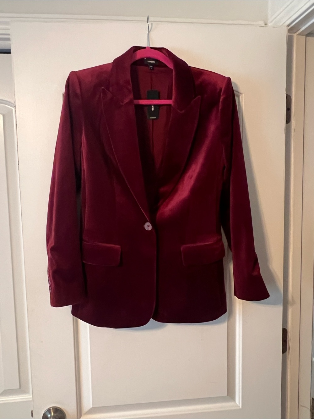 Express Velvet Corduroy Blazer in Wine